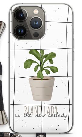 Houseplant on windowpane