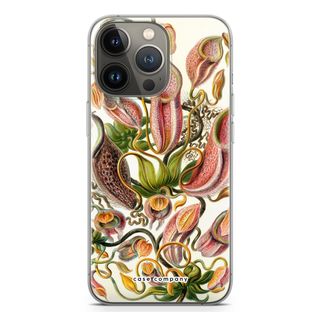Haeckel Nepenthaceae