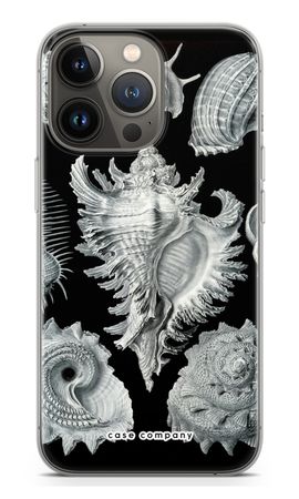 Haeckel Prosobranchia