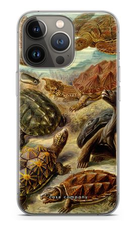 Haeckel Chelonia