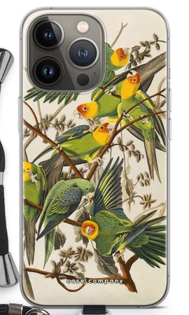 Carolina Parrot