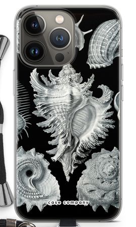 Haeckel Prosobranchia