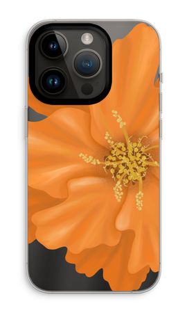 Orange Ellila flower