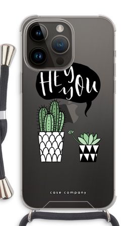 Hey you cactus