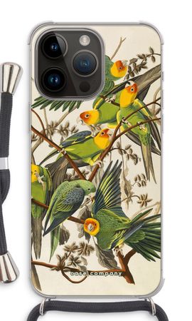Carolina Parrot
