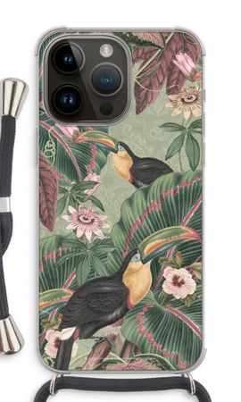 Tropical jungle toucan