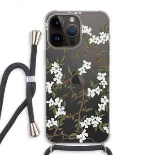 Blossoming spring
