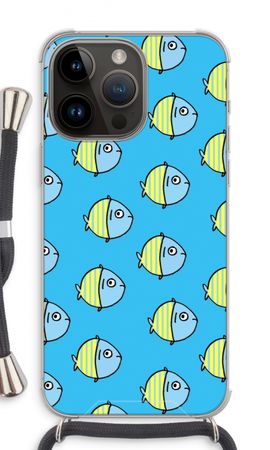 Little fish