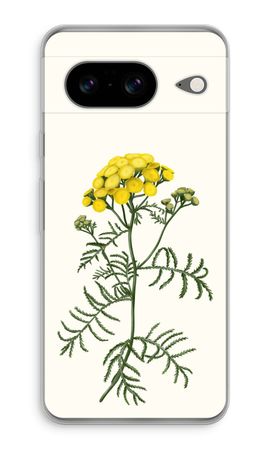 Tansy