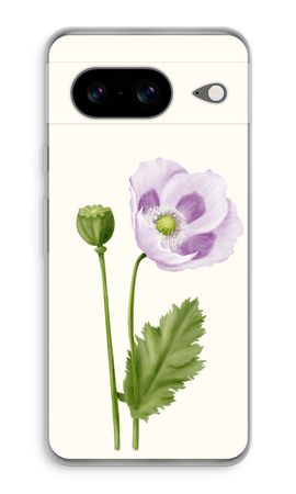 Purple poppy