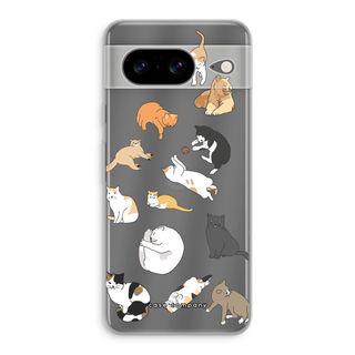 Gatos
