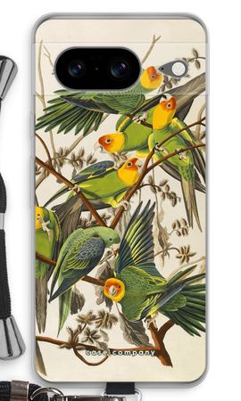 Carolina Parrot