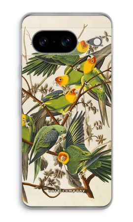 Carolina Parrot