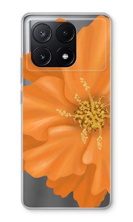 Orange Ellila flower