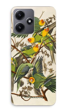 Carolina Parrot