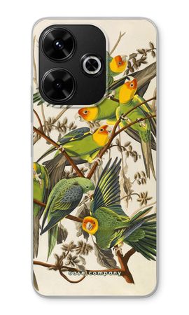 Carolina Parrot