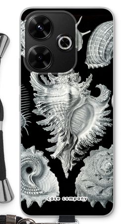 Haeckel Prosobranchia