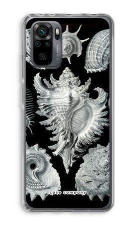 Haeckel Prosobranchia