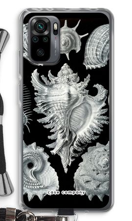 Haeckel Prosobranchia