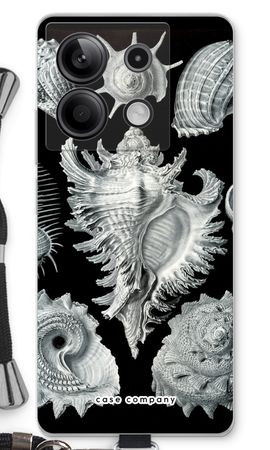 Haeckel Prosobranchia