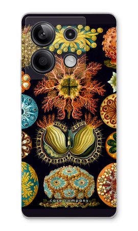 Haeckel Ascidiae