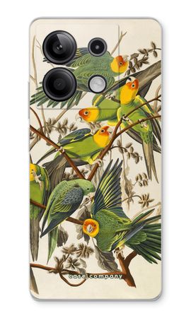 Carolina Parrot