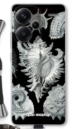 Haeckel Prosobranchia