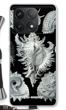 Haeckel Prosobranchia