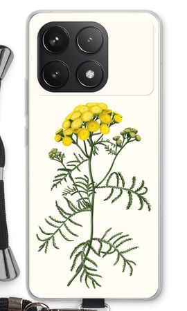 Tansy