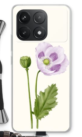 Purple poppy