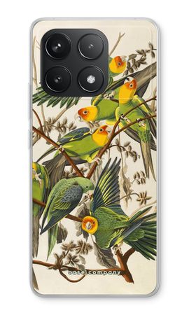Carolina Parrot