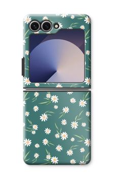 Kleine Gänseblümchen