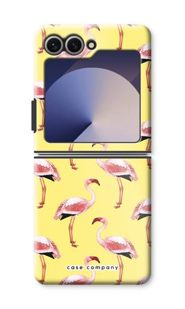 Flamingos yellow