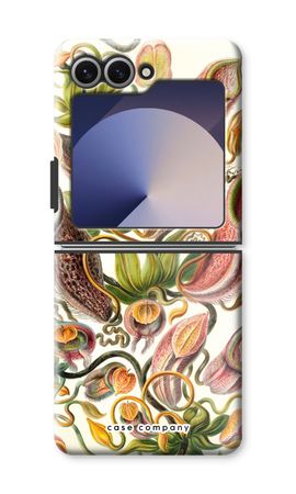 Haeckel Nepenthaceae