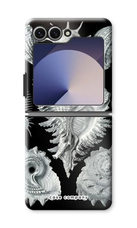 Haeckel Prosobranchia