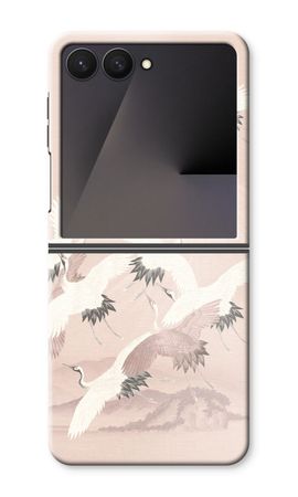 Japanese Crane Birds