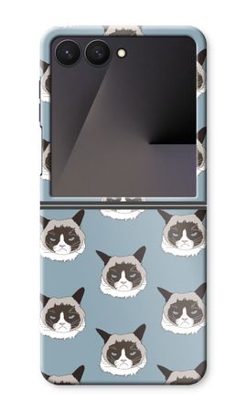 Non Sono Arrabbiato, Sono Solo un Gatto!
