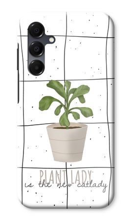 Houseplant on windowpane