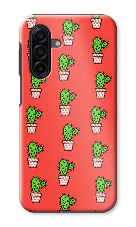 Mini cactus