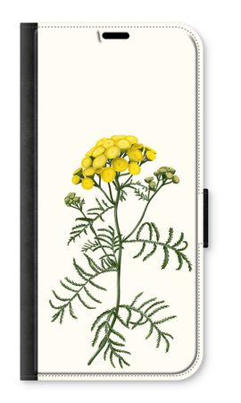 Tansy
