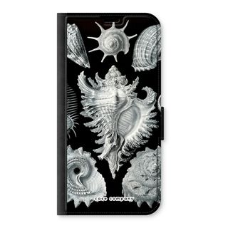 Haeckel Prosobranchia