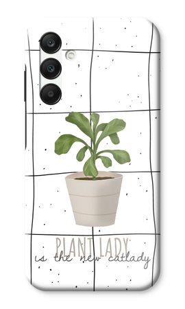 Houseplant on windowpane