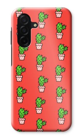 Mini cactus