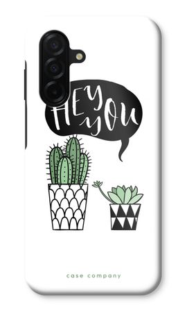 Hey you cactus
