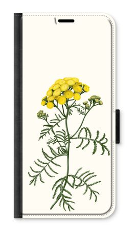 Tansy