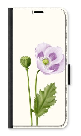 Purple poppy