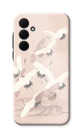 Japanese Crane Birds