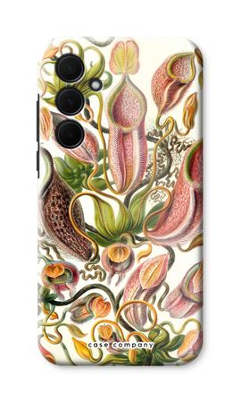 Haeckel Nepenthaceae
