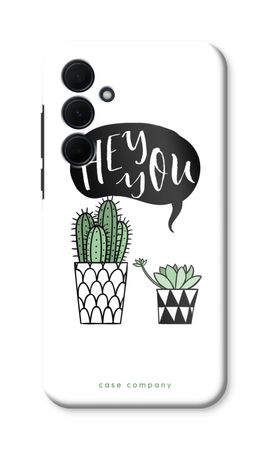 Hey you cactus