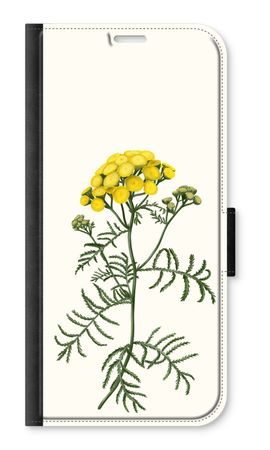 Tansy